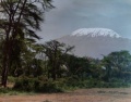 1950 Kilimanjaro by Arthur Firmin 01.jpg