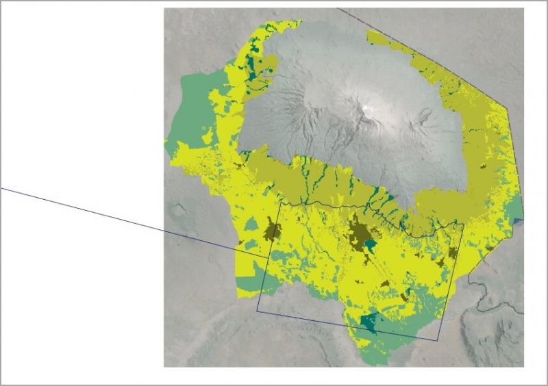 Datei:2025-10-30 Kilimanjaro has lost biodiversity 007.jpg
