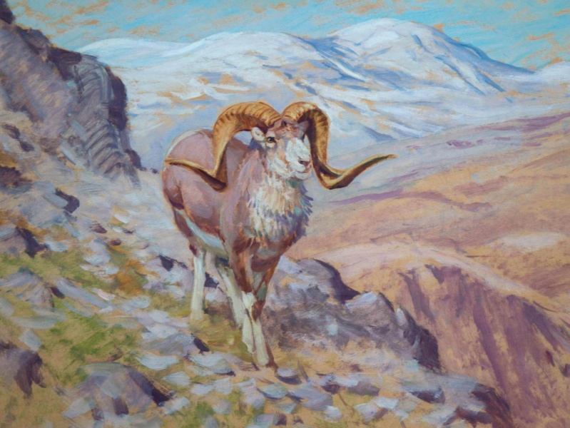 Datei:2012 Ausstellung M-M-Kiefer Argali.jpg