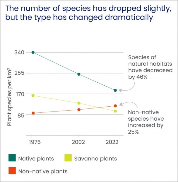 Datei:2025-10-30 Kilimanjaro has lost biodiversity 002.jpg