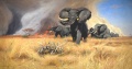 1917 Wilhelm Kuhnert Elefanten fliehen vor Feuer.jpg