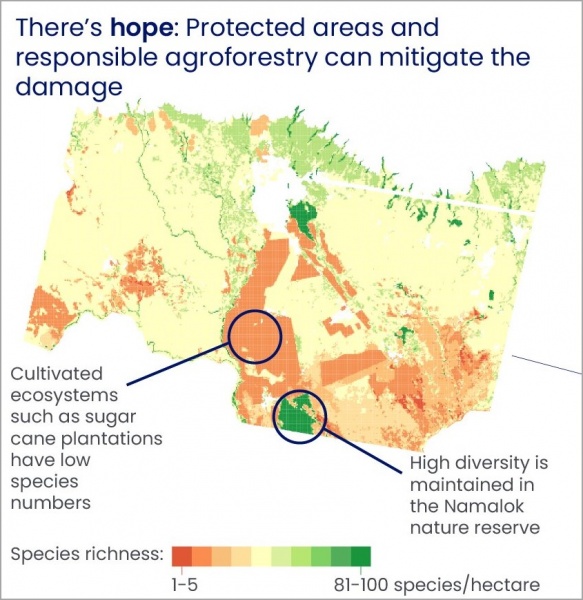 Datei:2025-10-30 Kilimanjaro has lost biodiversity 003.jpg