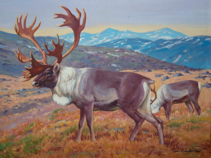 Datei:2012 Ausstellung M-M-Kiefer Karibu.jpg