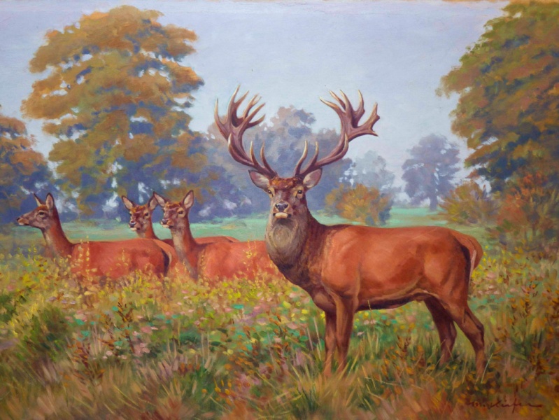 Datei:2012 Ausstellung M-M-Kiefer Rothirsch.jpg