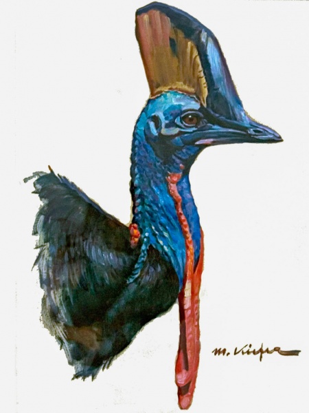 Datei:2012 Ausstellung M-M-Kiefer Helmkasuar.jpg