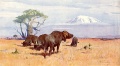 Wilhelm Kuhnert (1865-1926) Büffel am Kilimandjaro 800px.jpg