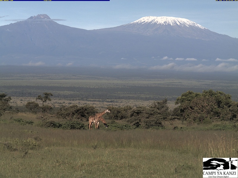 Kanzi Camp Webcam: Die Sicht Sicht auf den Kilimanjaro am 12.05.2018