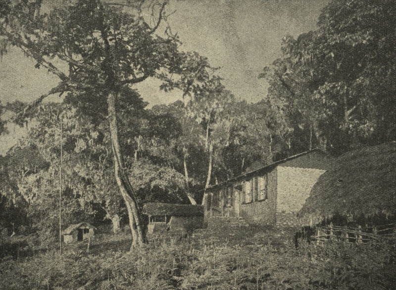 1930 - Die Bismarck-Hütte an der heutigen Marangu-Route
