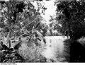 Bundesarchiv Bild 105-DOA0468, Deutsch-Ostafrika, Pangani bei Korogwe.jpg